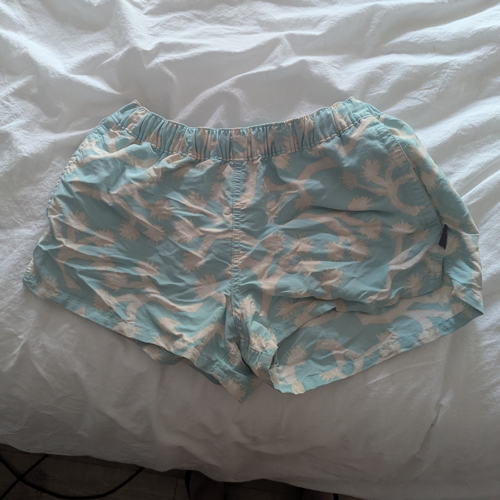 Patagonia Teal and White Shorts